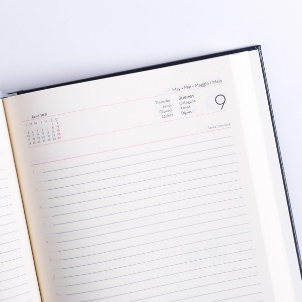 Diary Versalles - Green