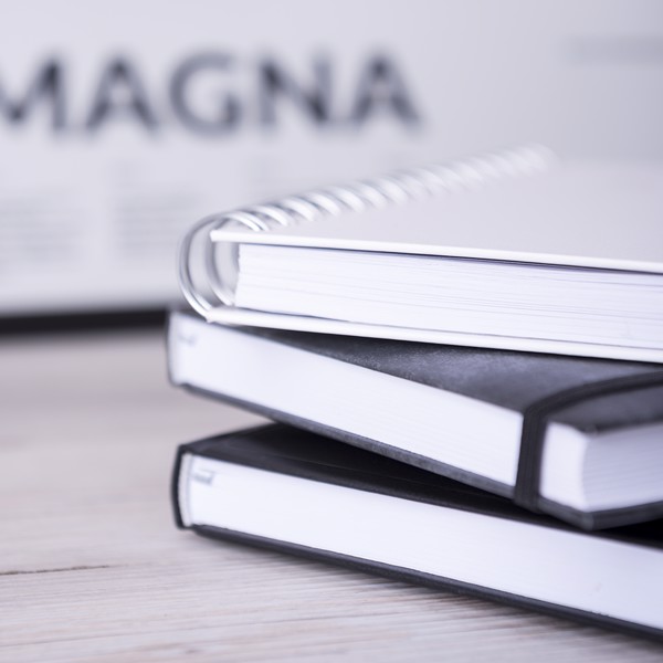 Diary Cannes - White