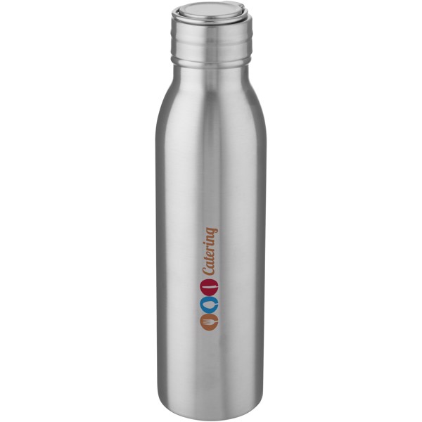 Harper 700 ml stainless steel water bottle with metal loop - Silver
