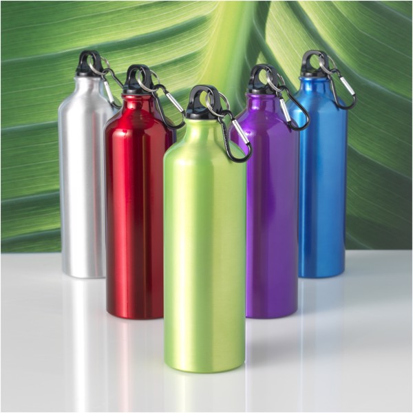 Oregon 770 ml aluminium water bottle with carabiner - Red