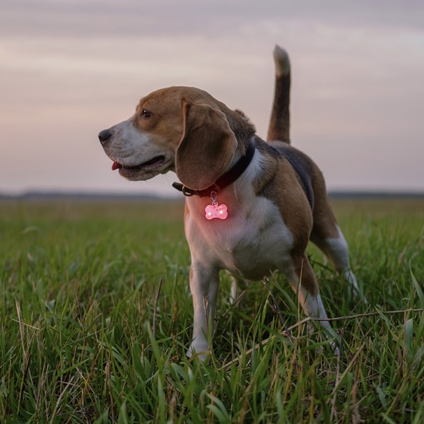 Reflective Light Savera