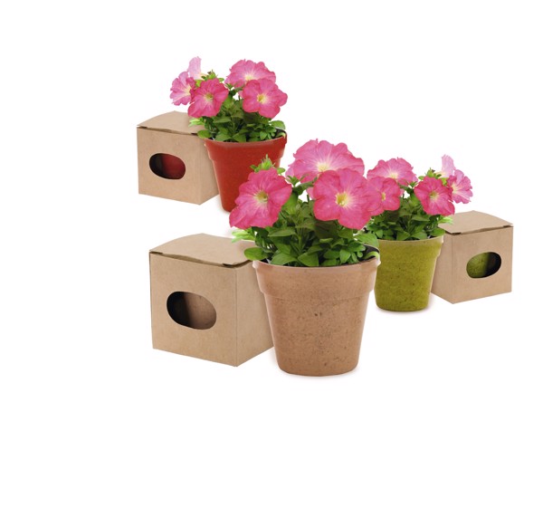 Flowerpot Advert - Red
