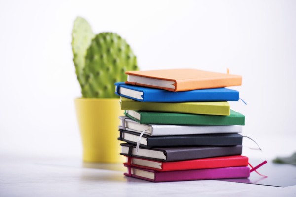 Notepad Kine - Silver