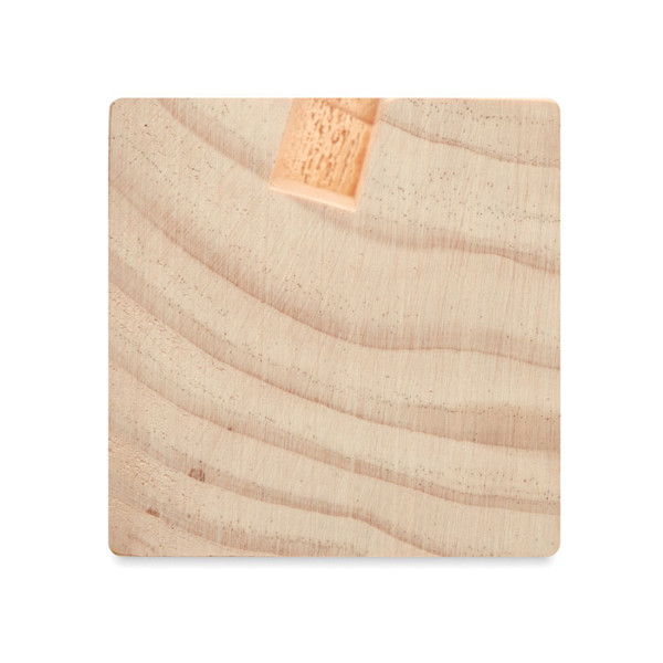 Desk stand with seeds kit Thila